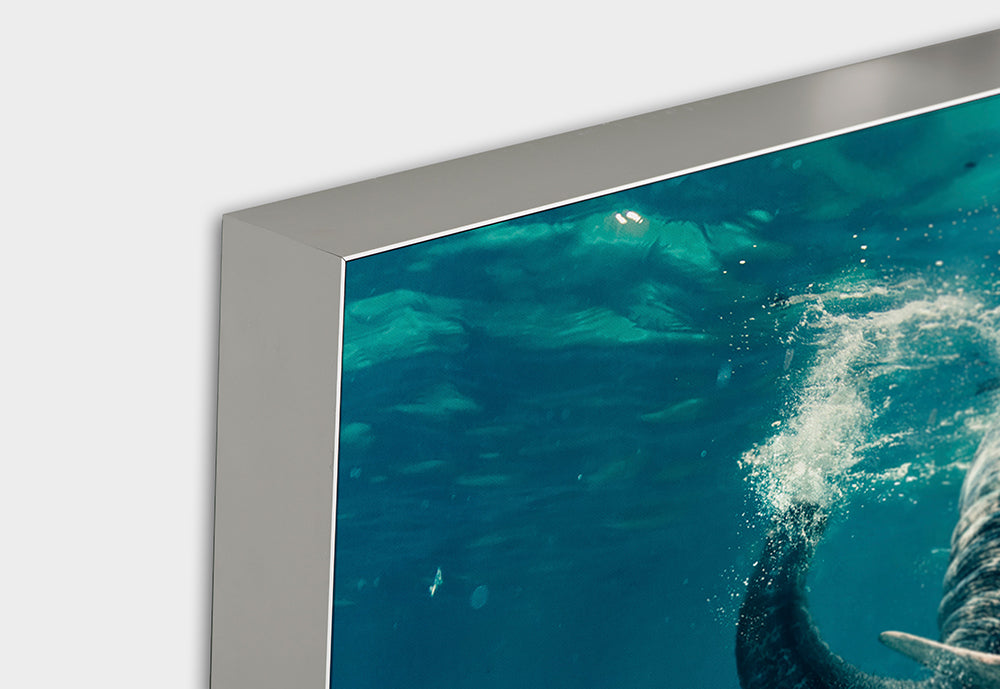 Akustikbild Pro Schwimmender Elefant