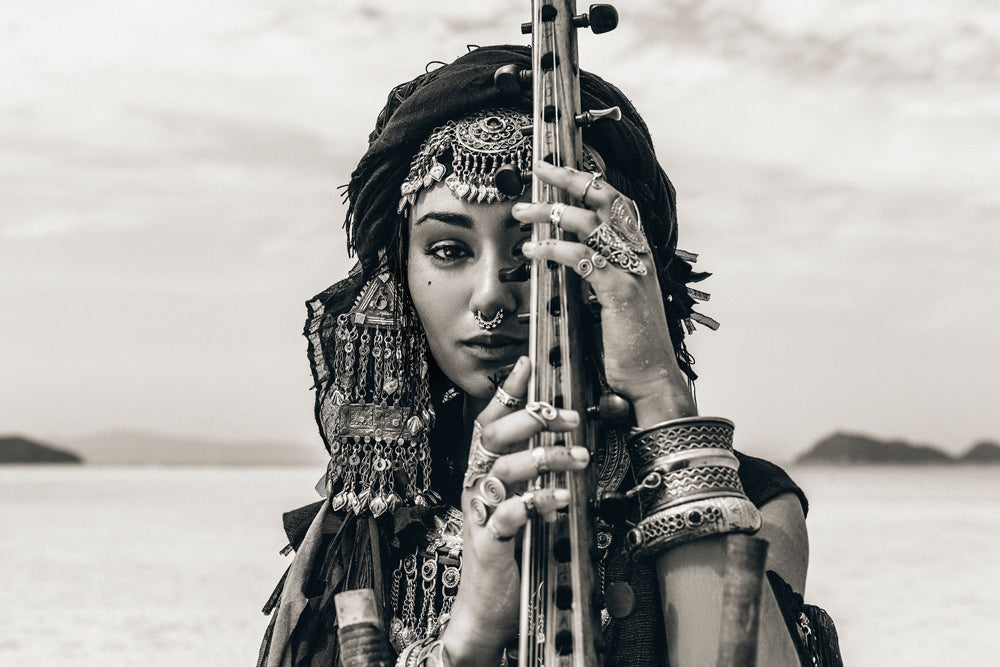 Acoustic Image Pro Desert Beauty