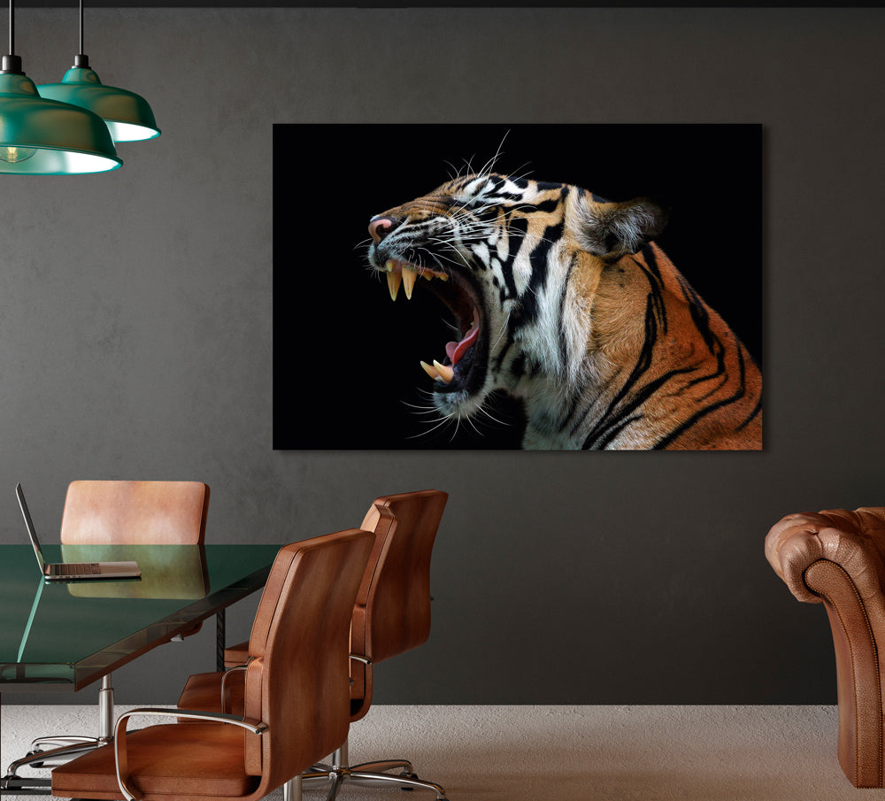 Image acoustique du Tigre sifflant