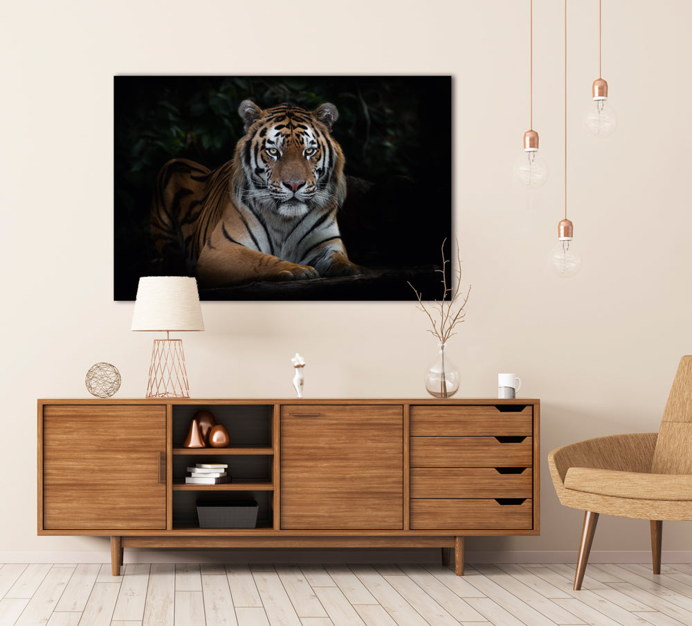 Image acoustique imposante d'un tigre
