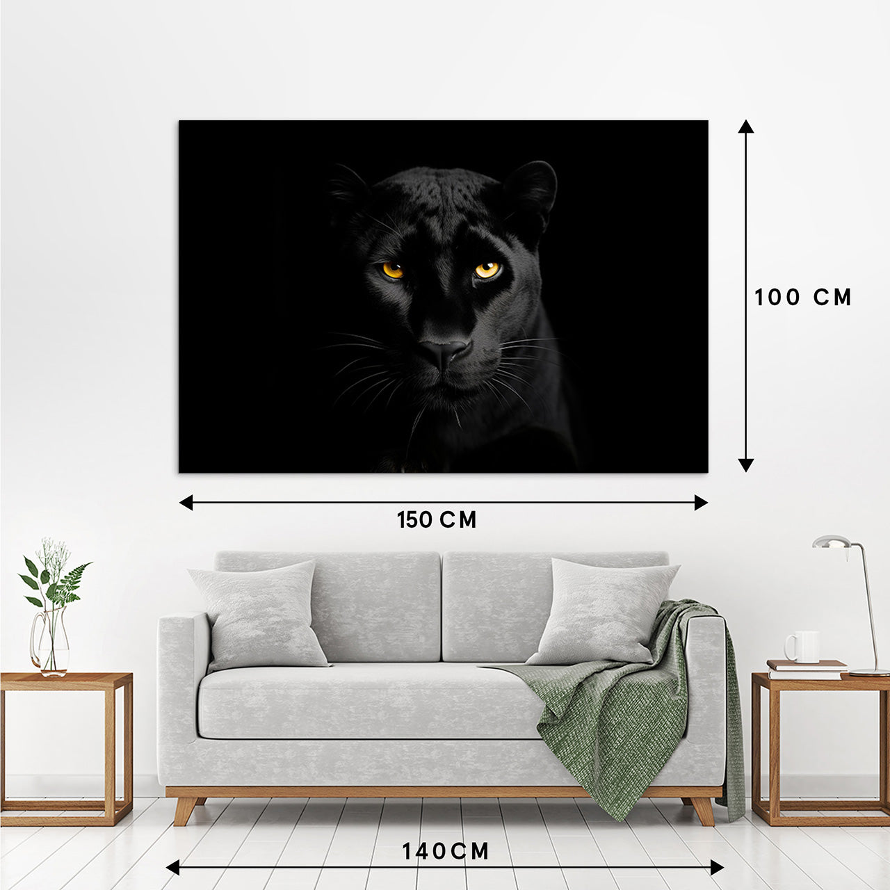 Acoustic Image Pro Black Panther