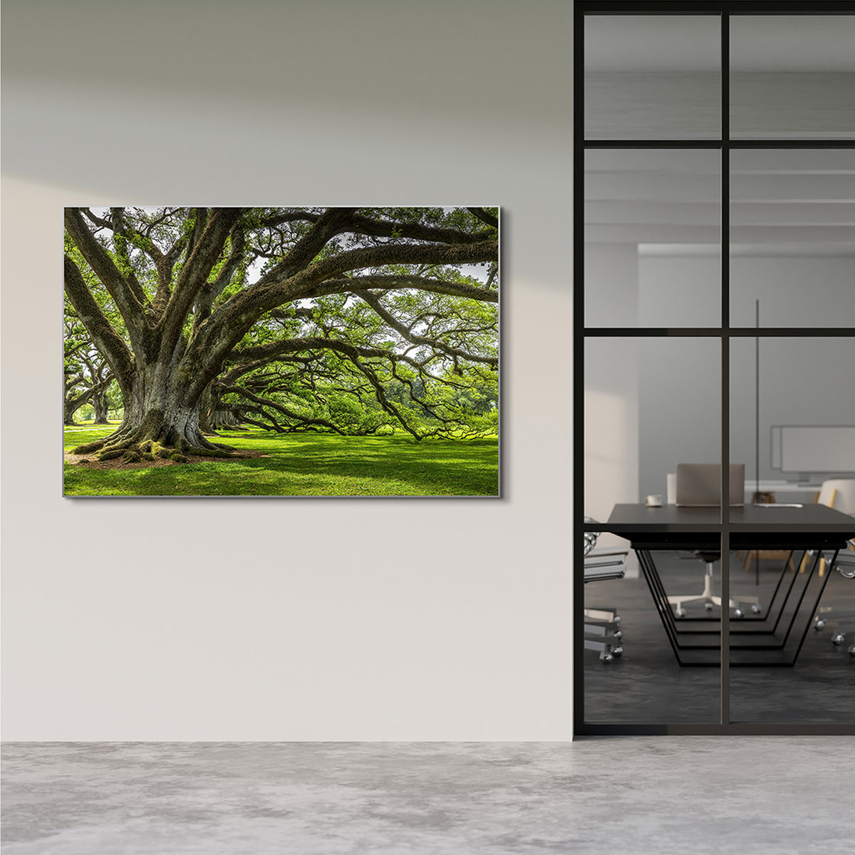 Akustikbild Pro Baum der Ewigkeit