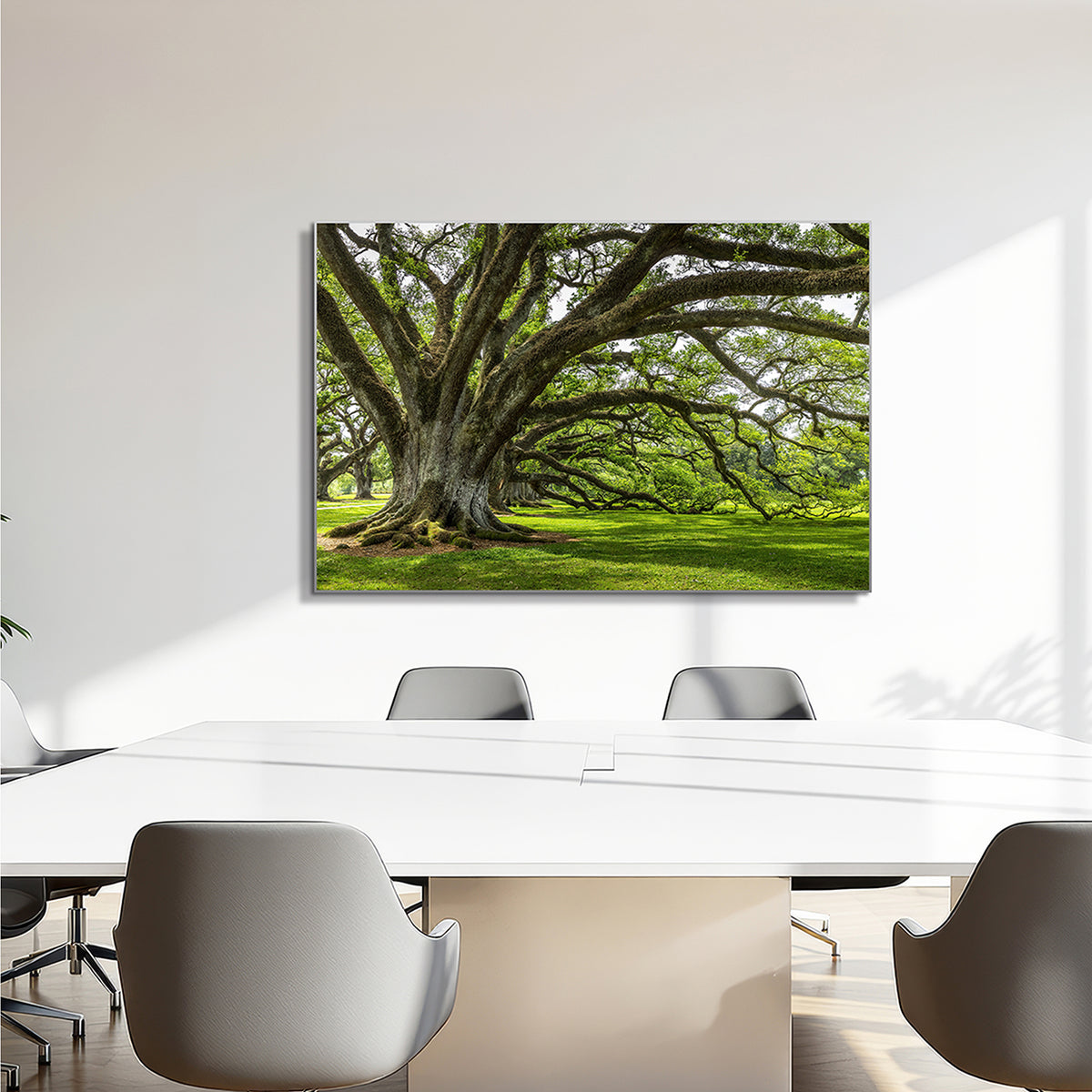 Akustikbild Pro Baum der Ewigkeit
