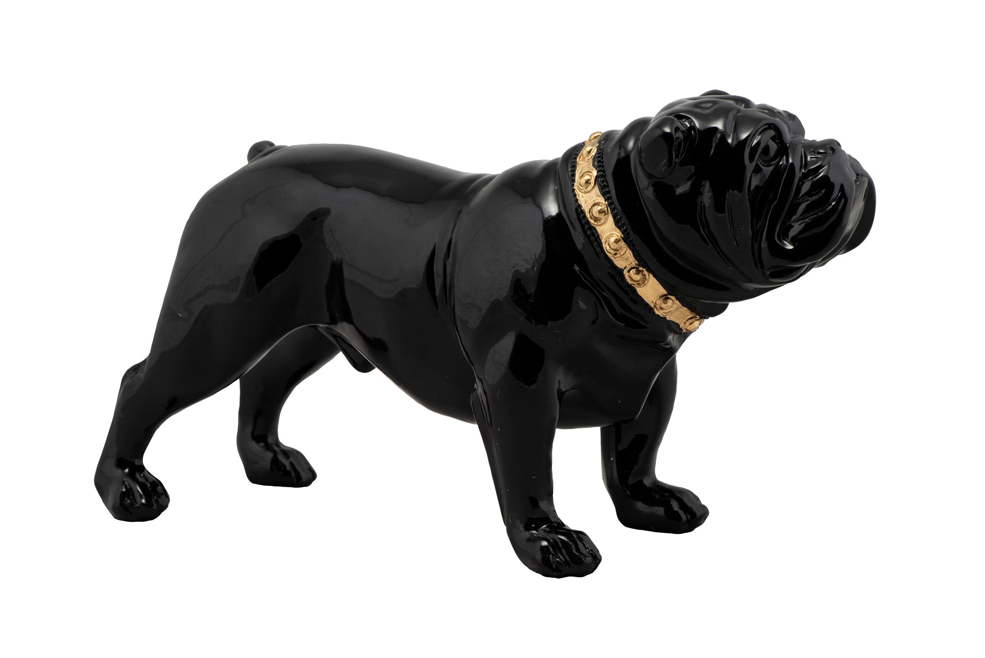 Sculpture Bulldog with Golden Collar