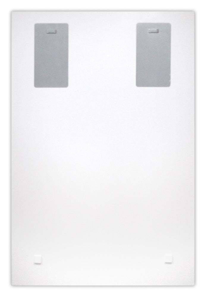 glass picture The Lion King