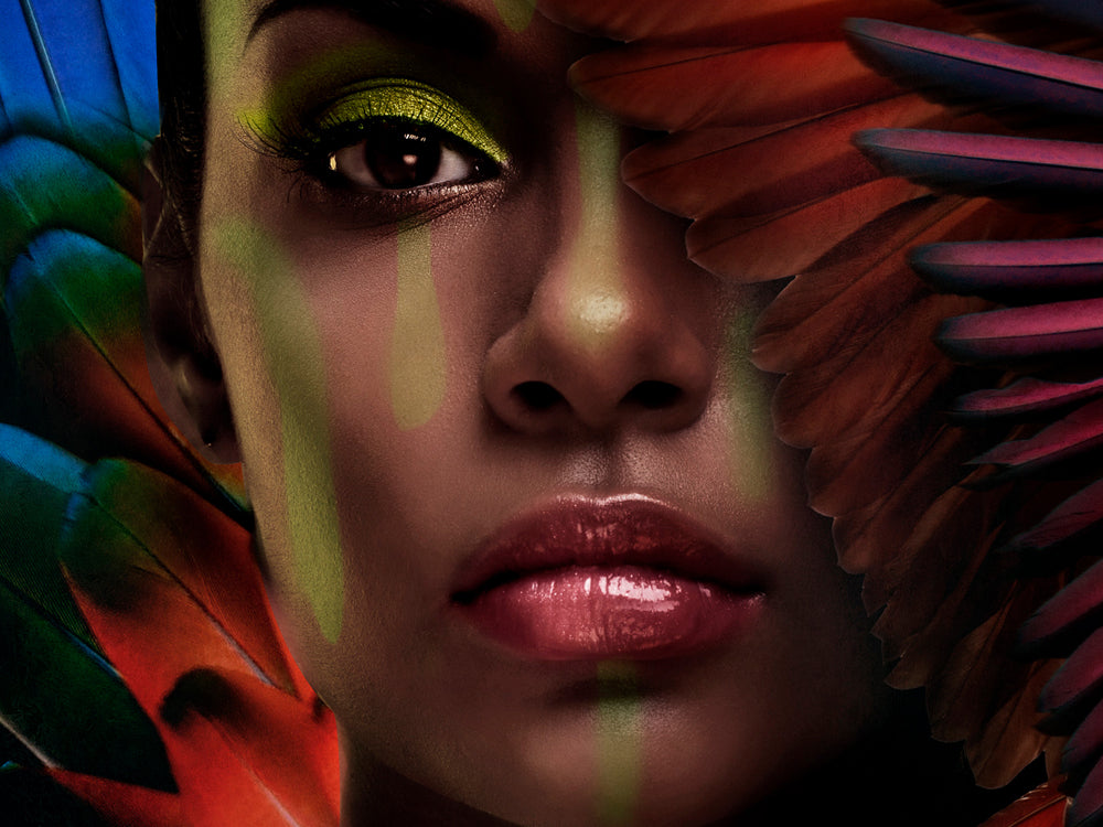 Glass Picture Beauty with Feathers