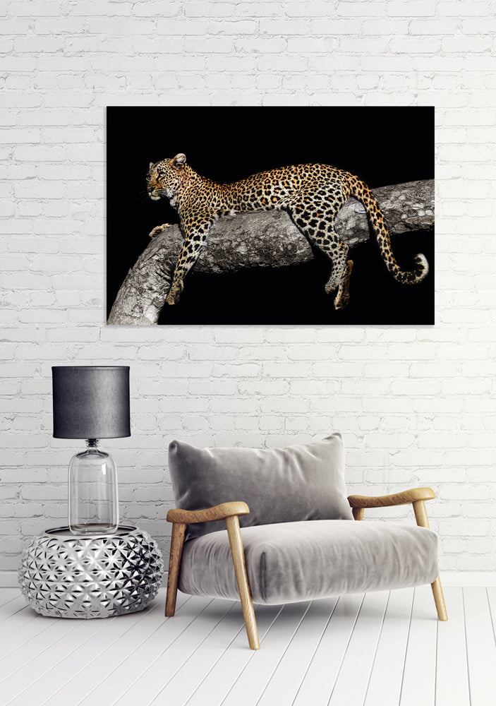 Tableau en verre Léopard détendu