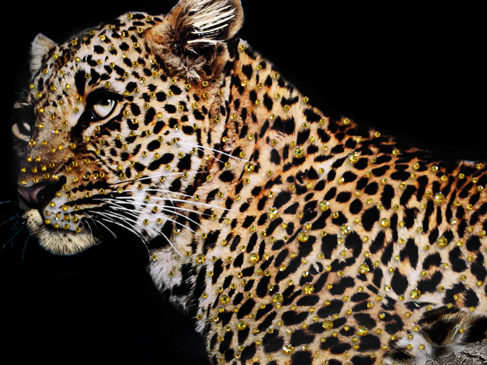 Glass Picture Relaxed Leopard