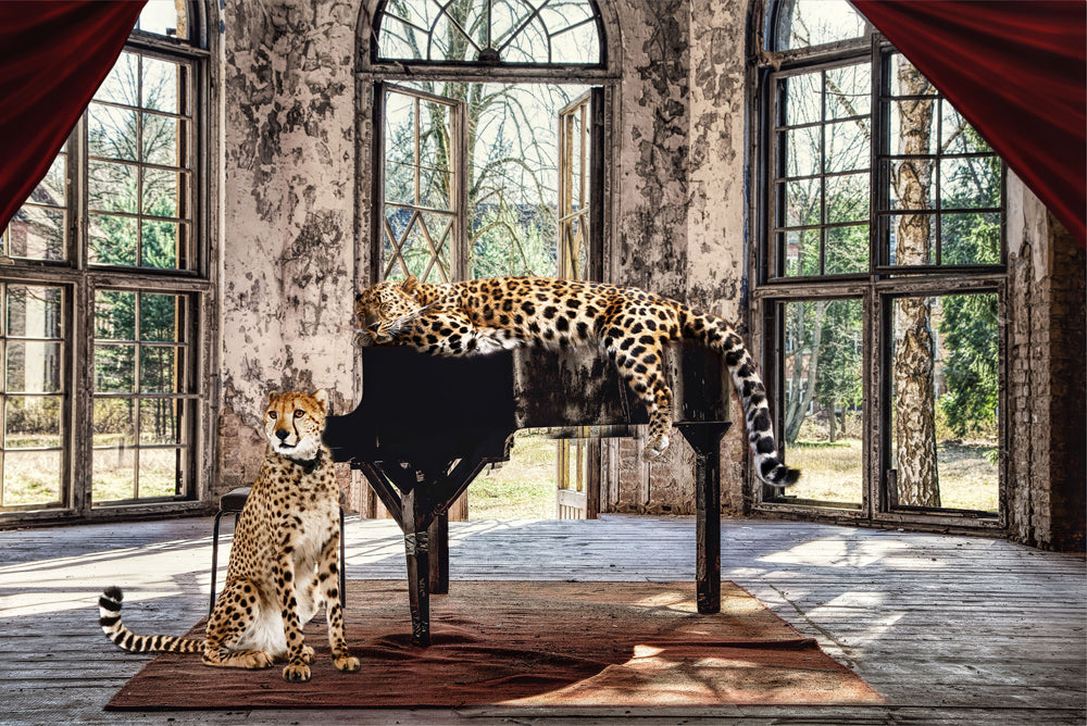 glass picture Wild Music Cats