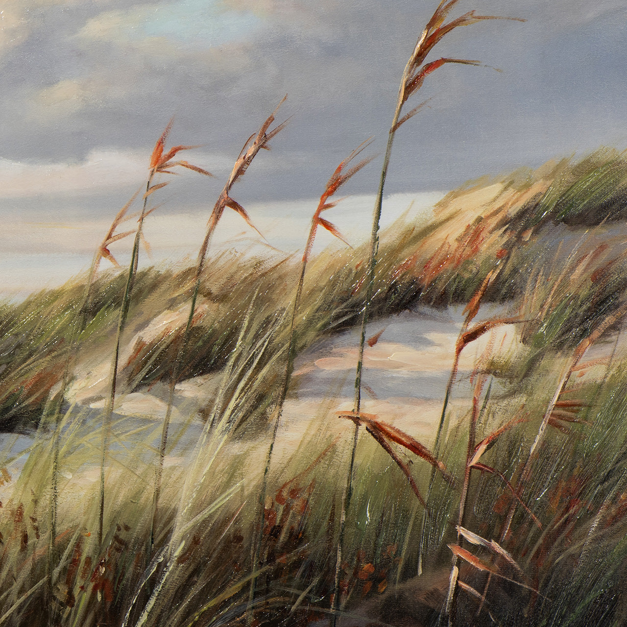 dunes au crépuscule