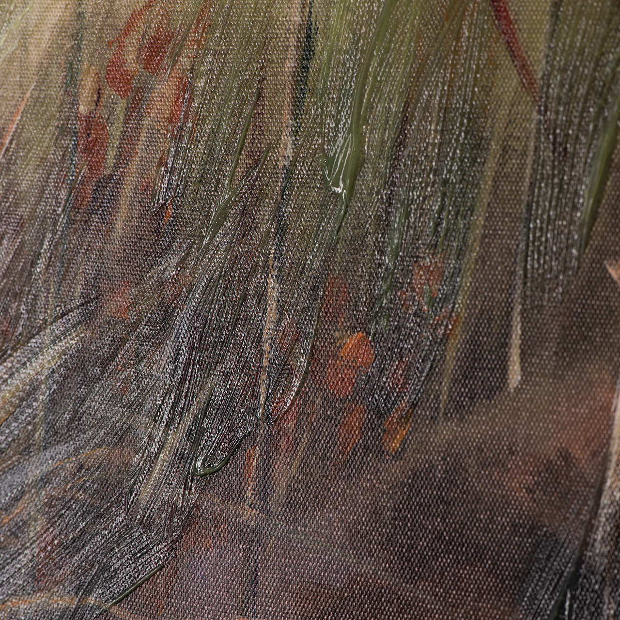 dunes au crépuscule