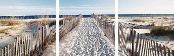 tableau en verre Le chemin vers la plage