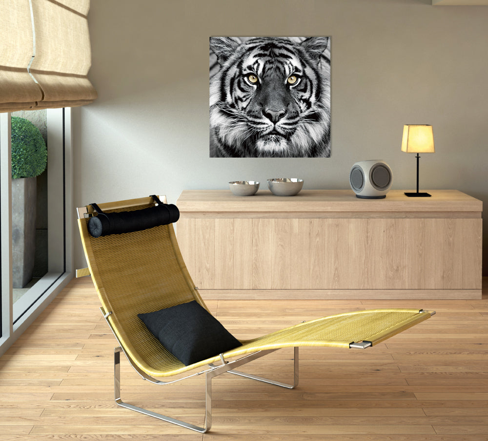 tableau en verre Portrait d'un tigre