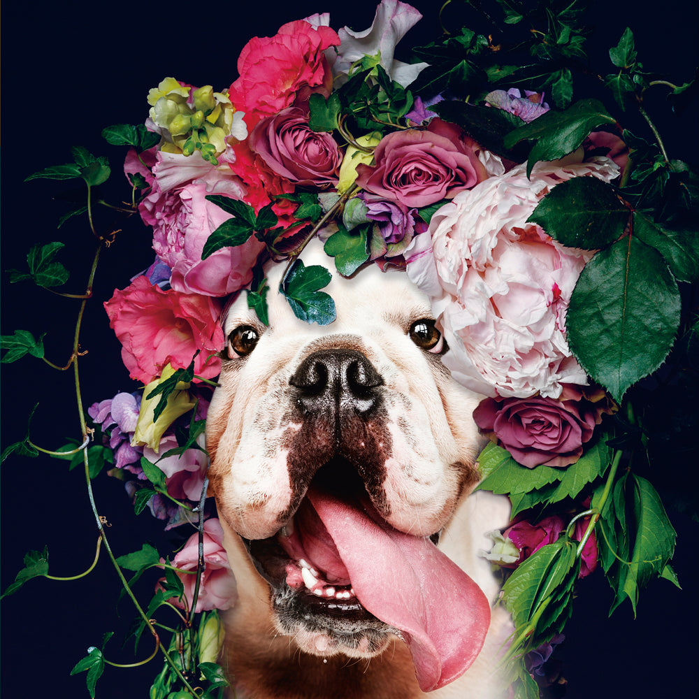 Hund mit buntem Blumenkranz