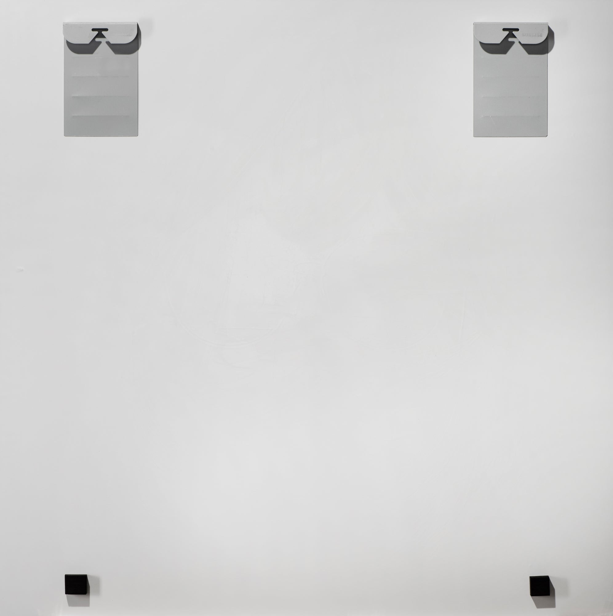 Glass Picture Beauty with Flowers