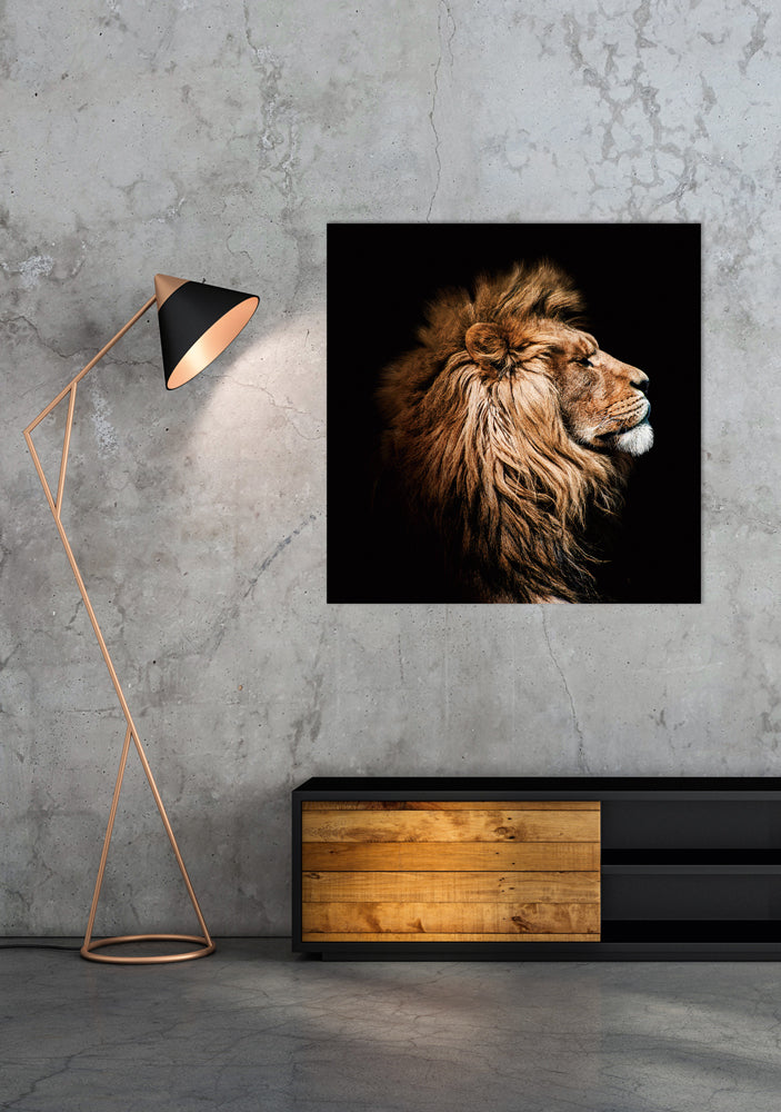 Tableau sur verre Le Roi Lion de profil