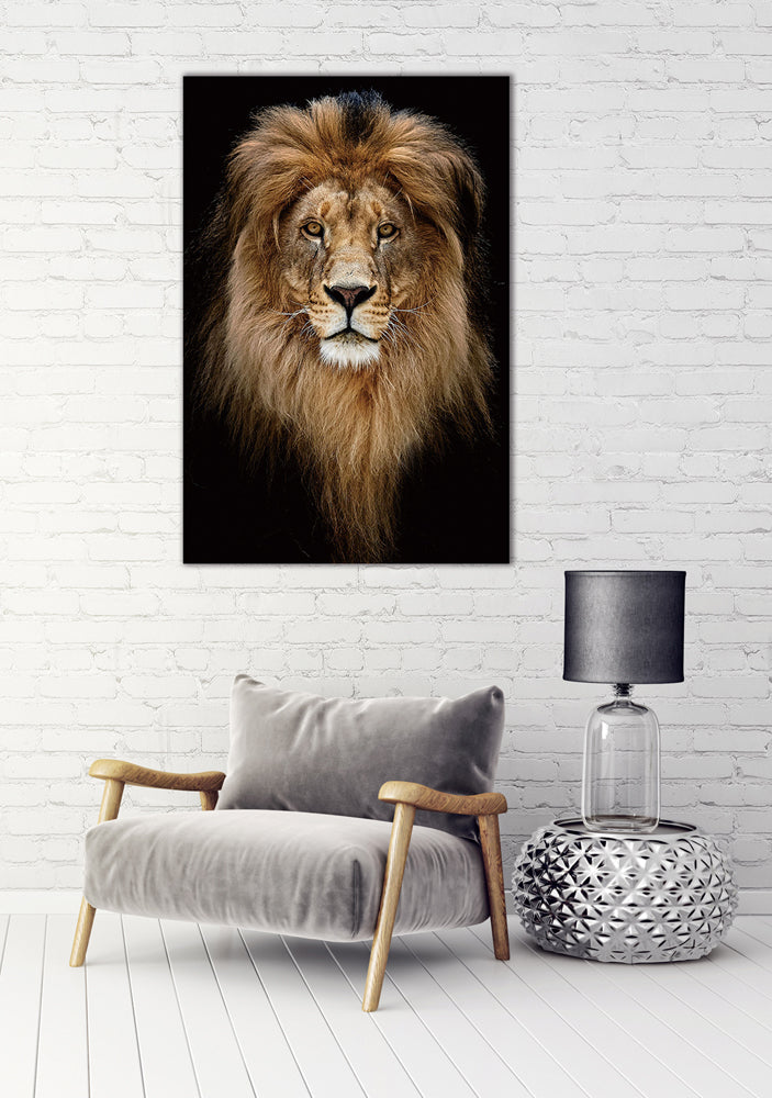 Tableau sur verre Portrait du Roi Lion