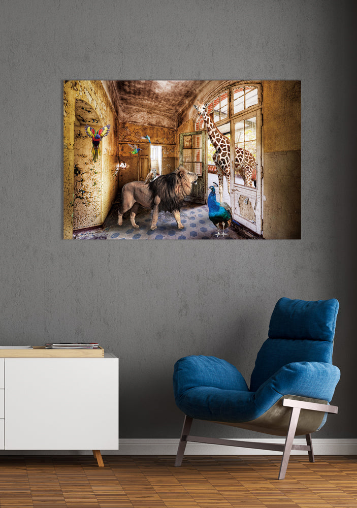 Glasbild Dschungeltiere suchen ein Zuhause