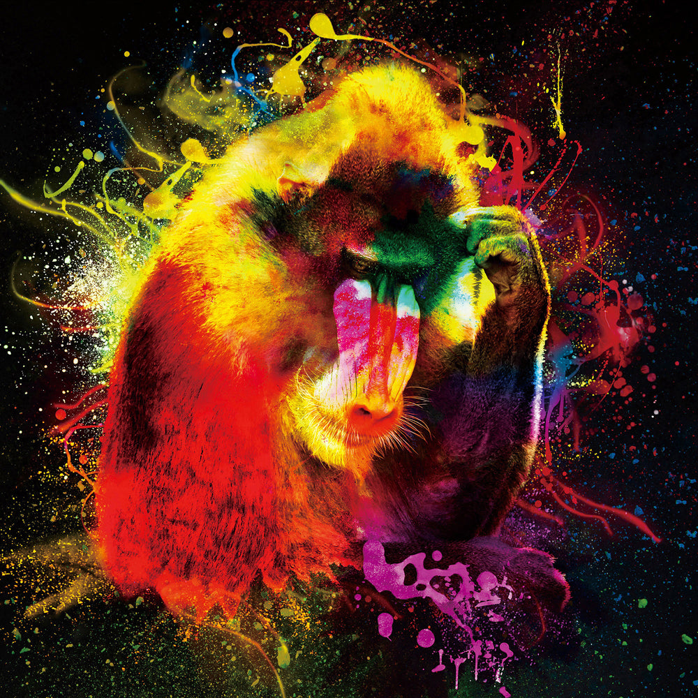 Baboon in the play of colors