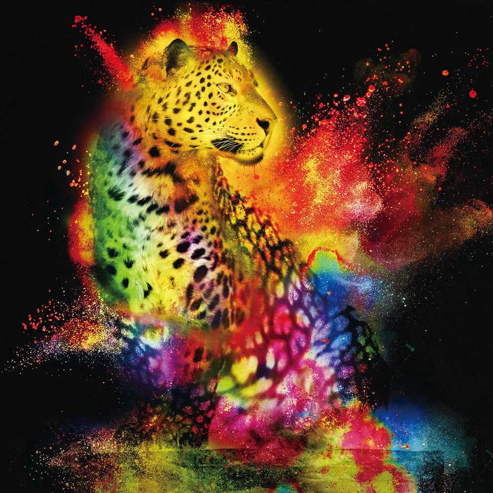Leopard in Play of Colors