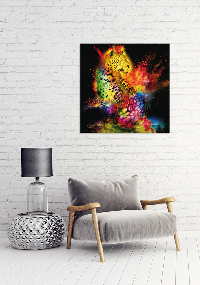 Leopard in Play of Colors