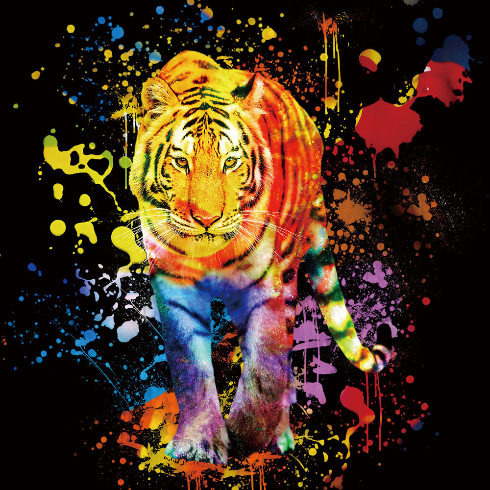 Tiger im Farbenspiel