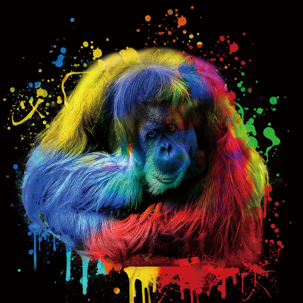 Orangutan in the play of colors