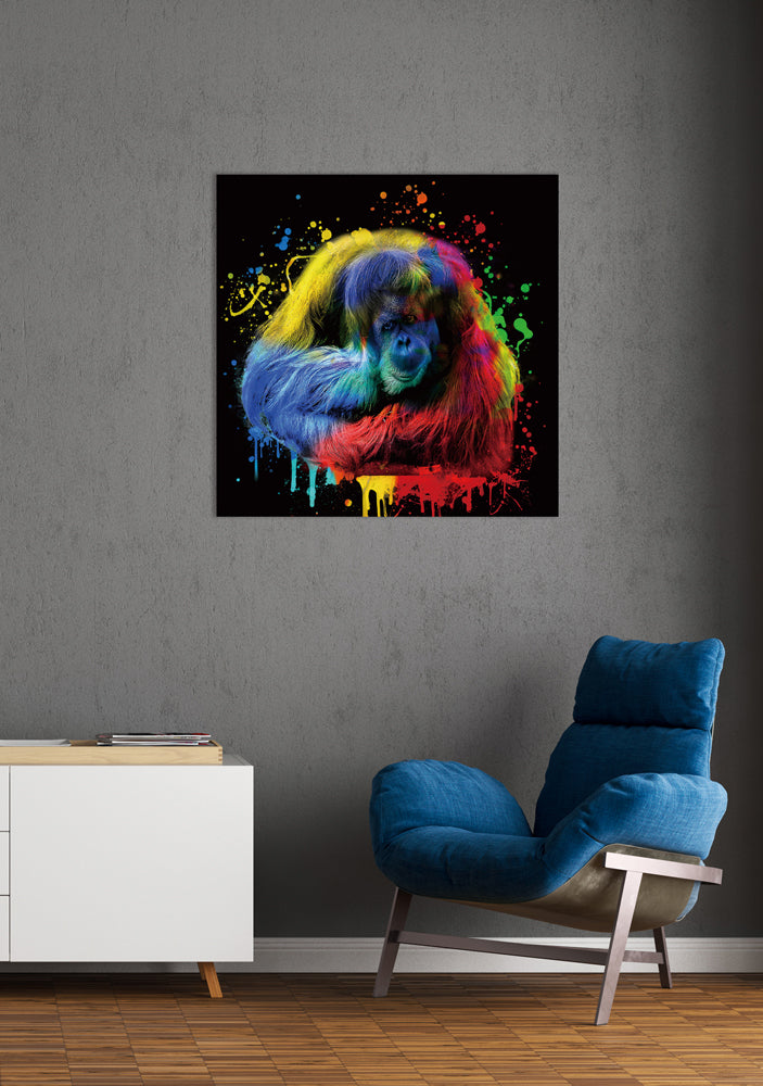 Orangutan in the play of colors