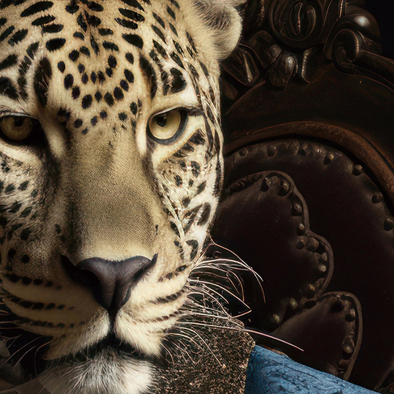 tableau en verre Léo Dandy