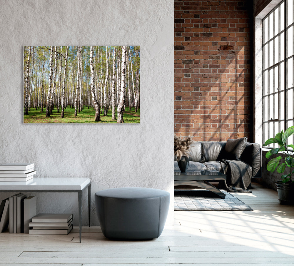 Bild & Rahmen Birkenwald