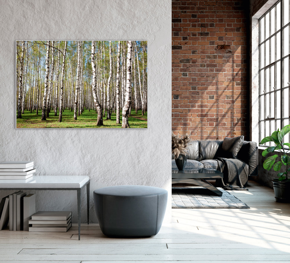 Bild & Rahmen Birkenwald