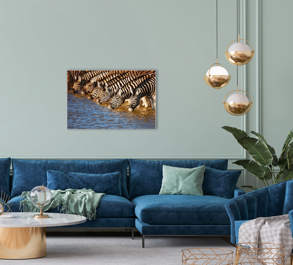 Image et cadre Zèbres au bord de la rivière