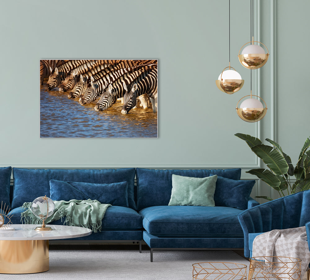 Image et cadre Zèbres au bord de la rivière