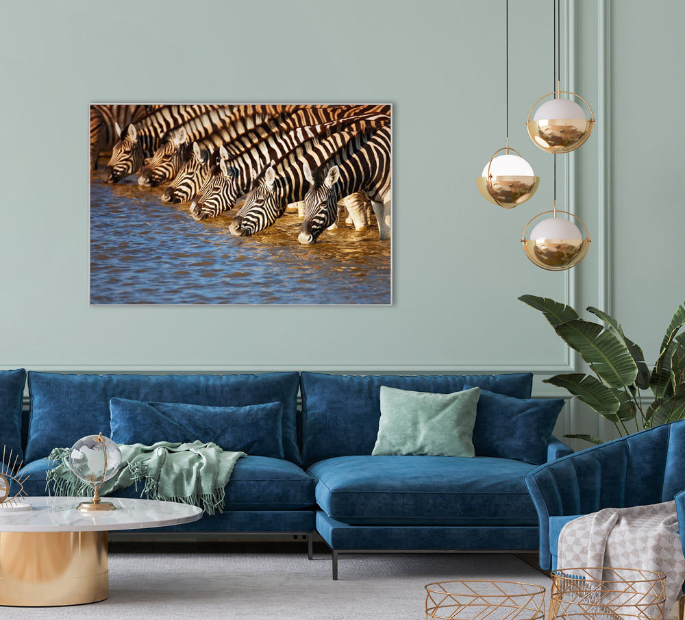 Image et cadre Zèbres au bord de la rivière