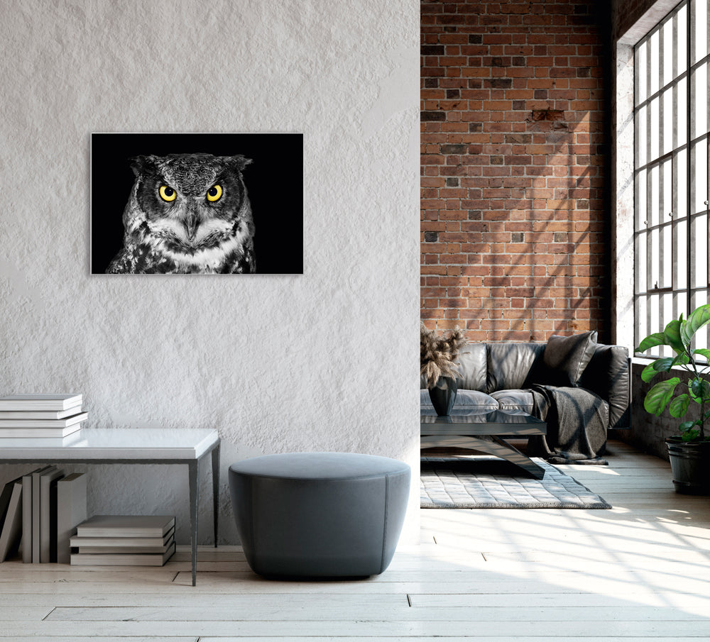 Image et cadre Chouette