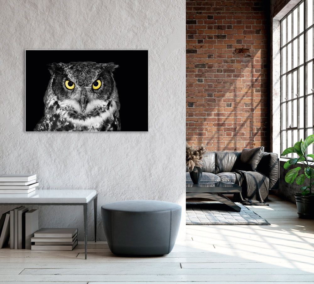 Bild & Rahmen Eule