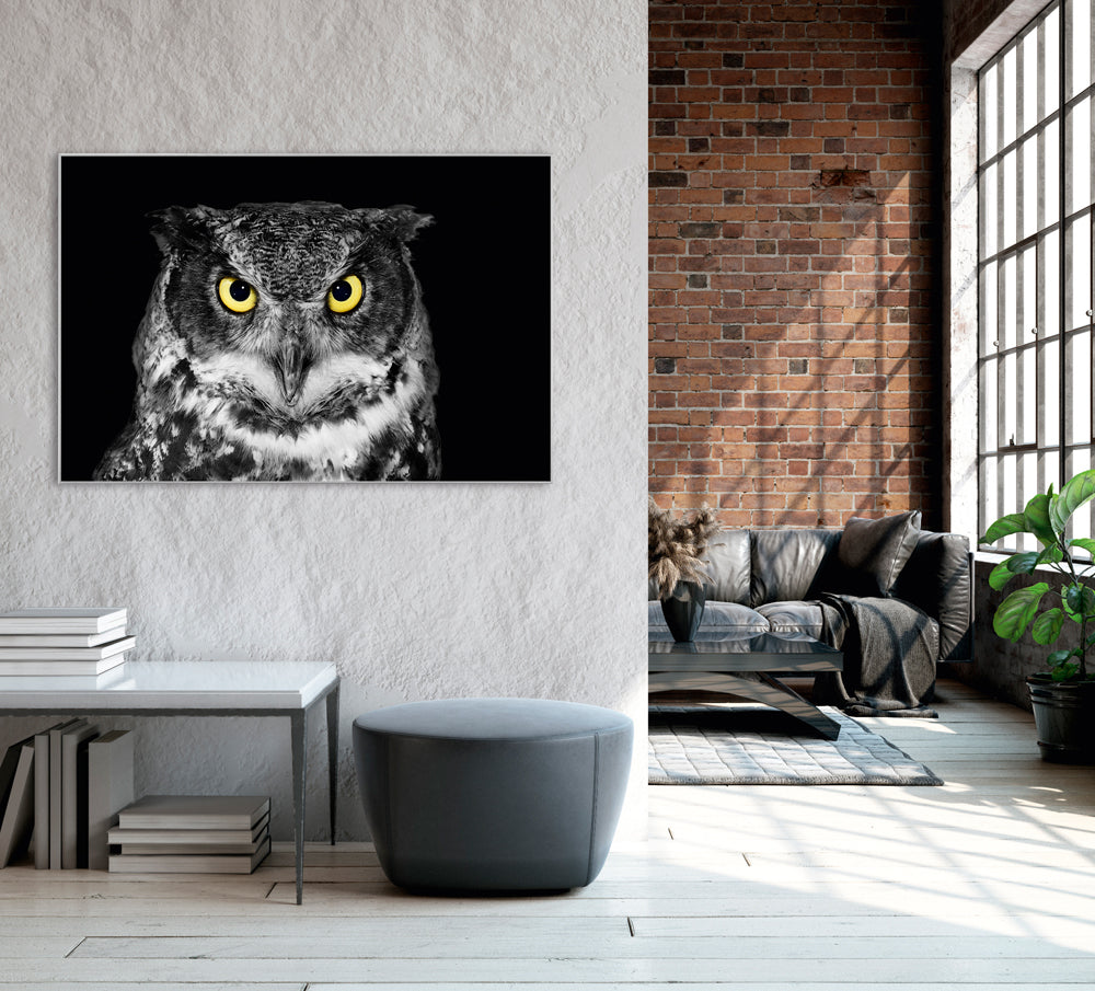 Bild & Rahmen Eule