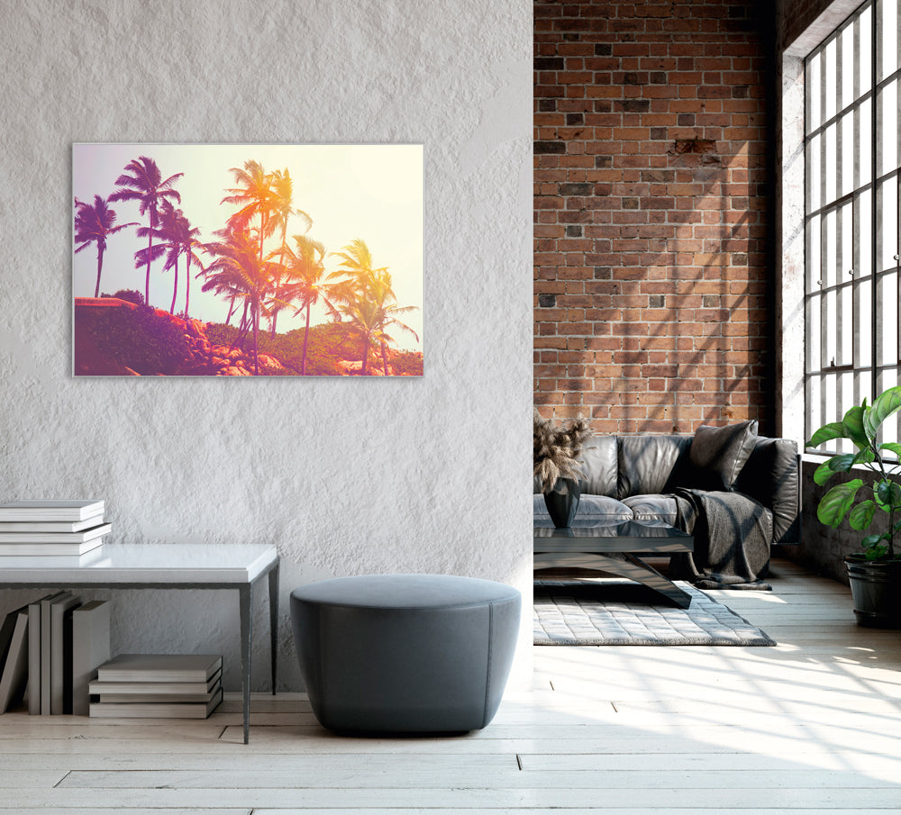 Image et cadre Palmiers dans le vent