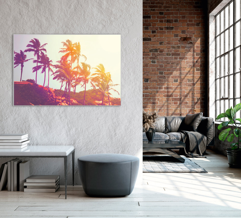 Image et cadre Palmiers dans le vent