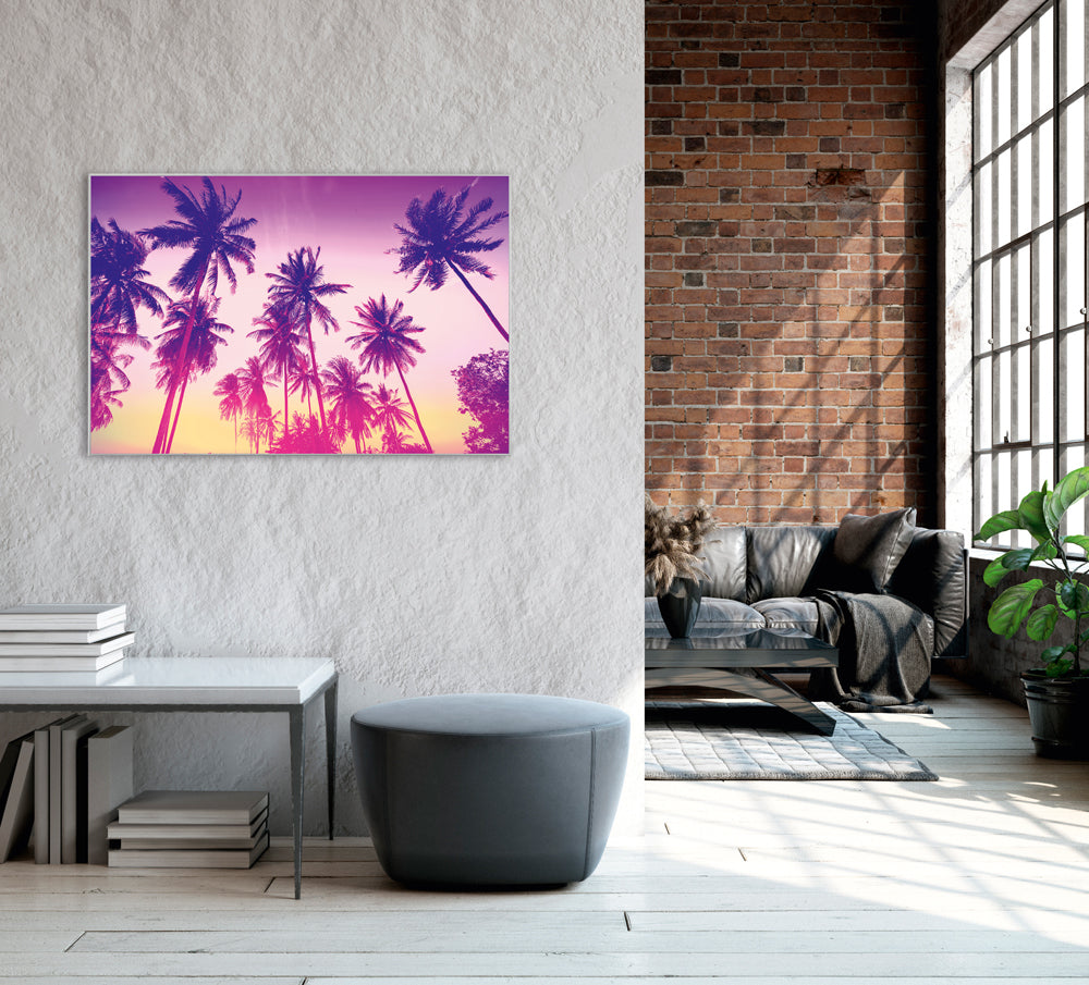 Image et cadre Palmiers