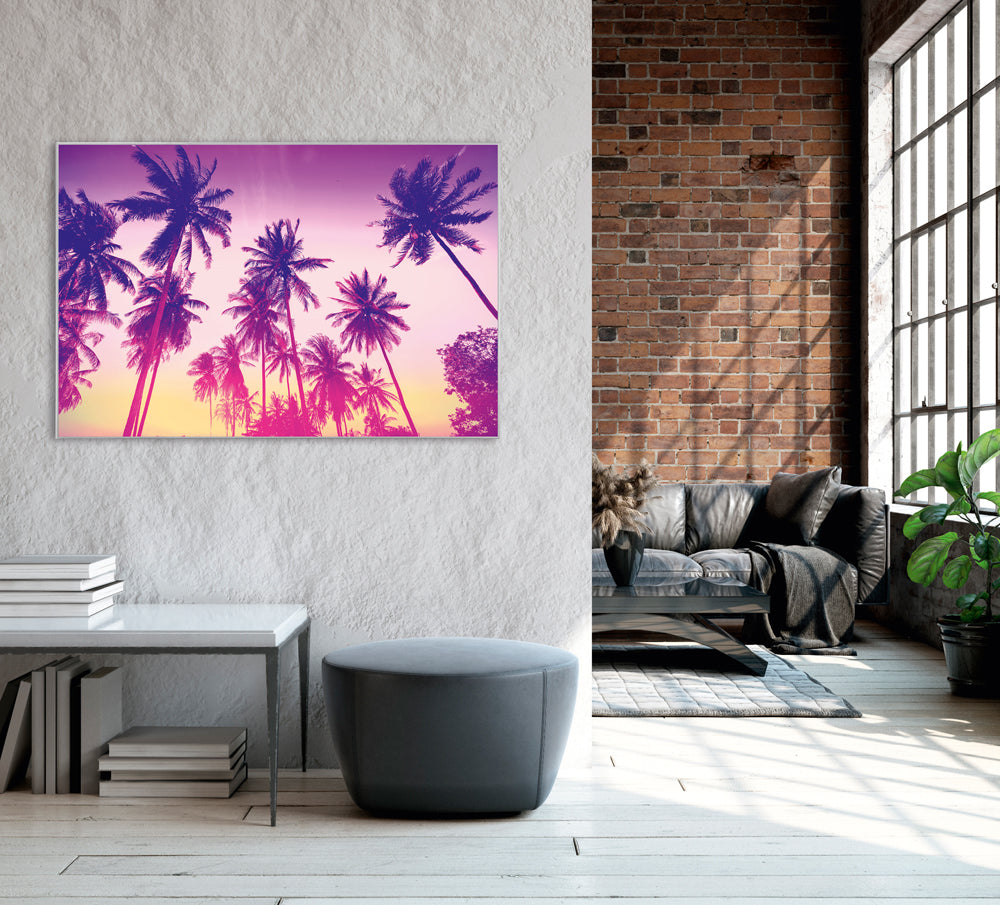 Image et cadre Palmiers