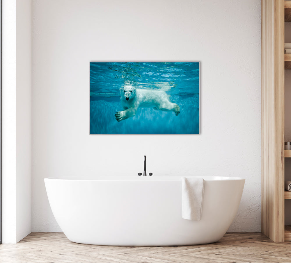 Bild & Rahmen Eisbär