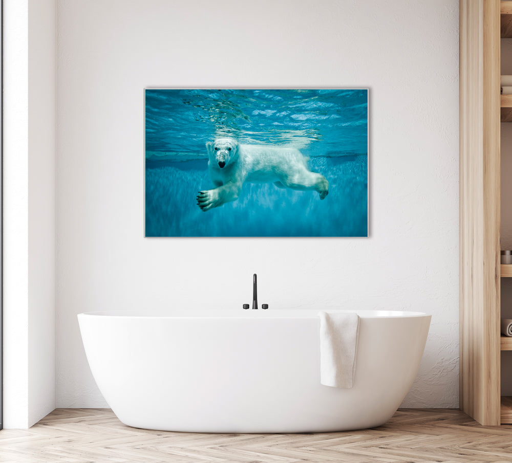 Bild & Rahmen Eisbär