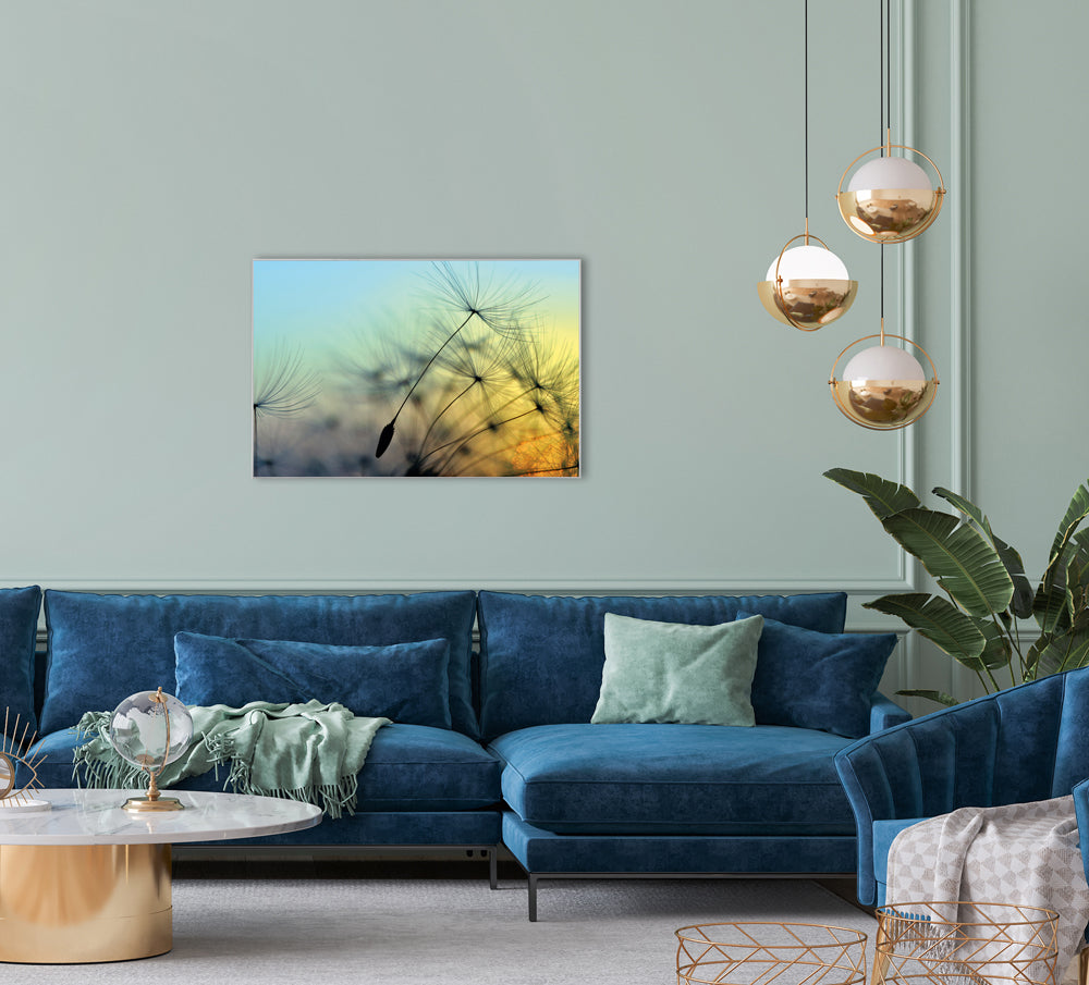 Image et cadre Pissenlit 1