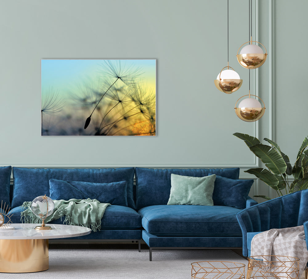 Picture & Frame Dandelion 1