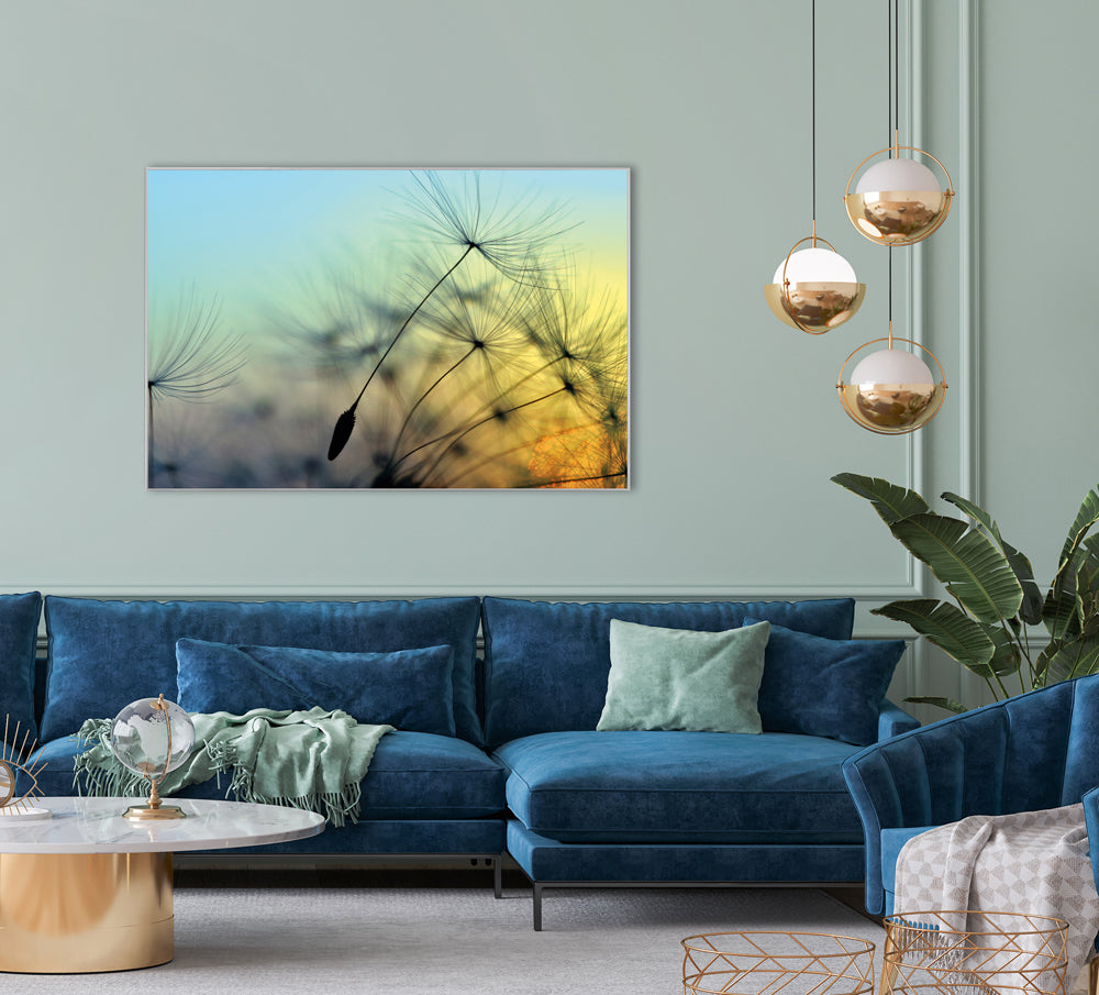 Picture & Frame Dandelion 1