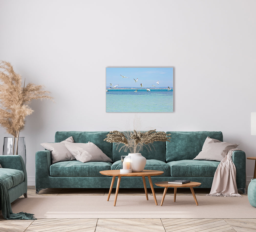 Image et cadre Mouettes au-dessus de la mer du Nord