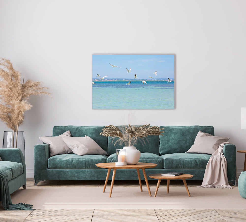 Image et cadre Mouettes au-dessus de la mer du Nord