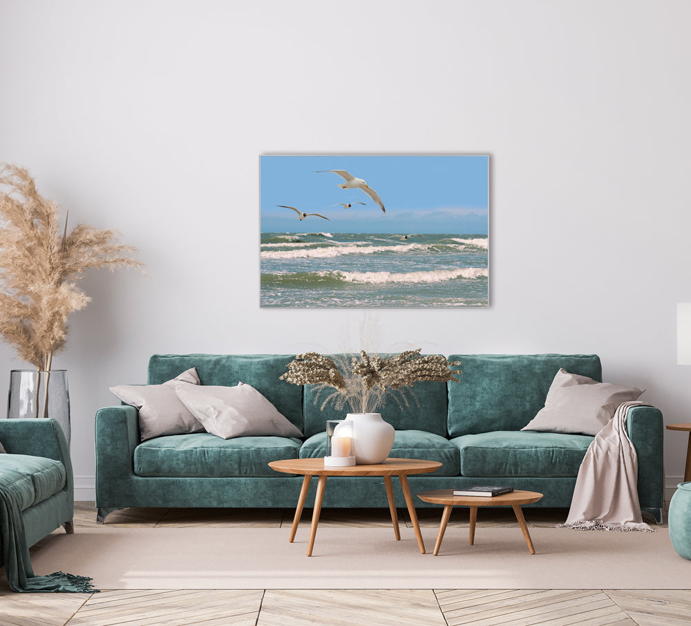 Image et cadre Mouettes sur une mer agitée