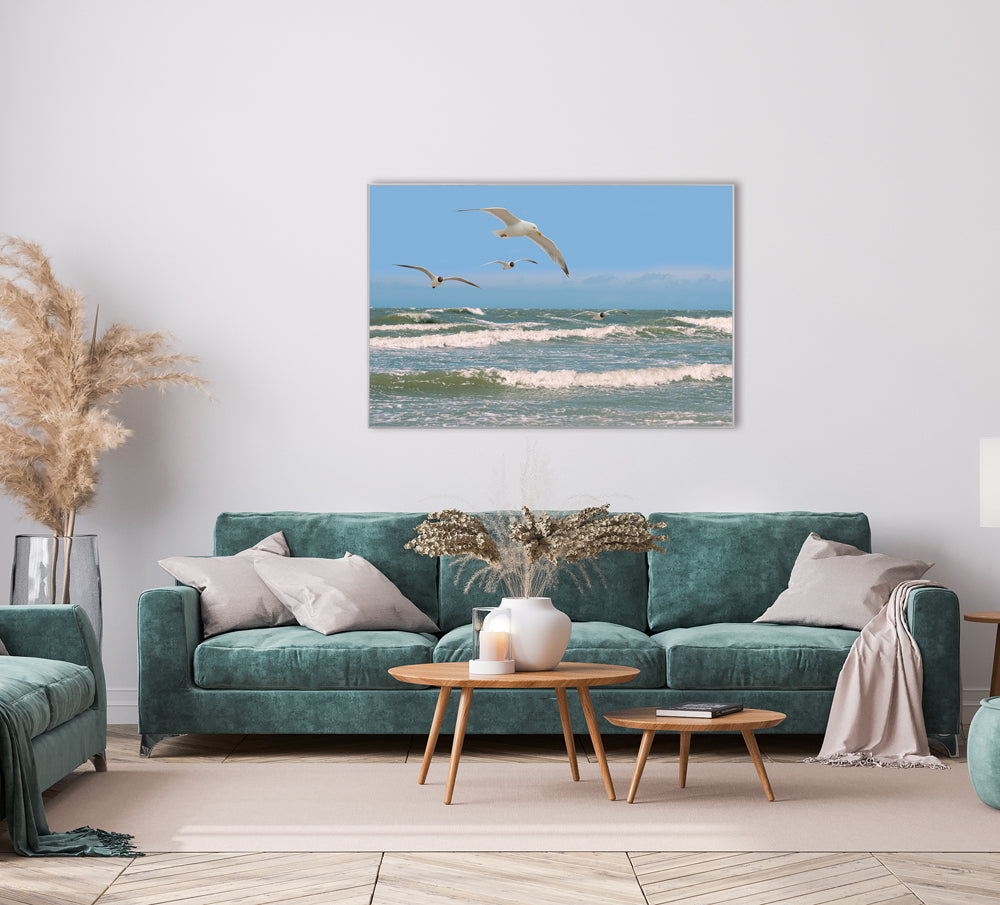 Image et cadre Mouettes sur une mer agitée